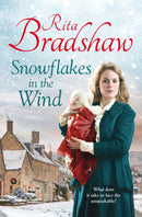 Snowflakes in the Wind-9781447271611