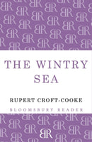 The Wintry Sea