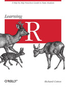Learning R-9781449357108