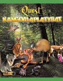 Quest For The Kangoalaplatybat-9781452008448