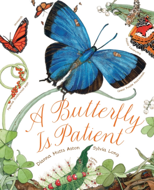A Butterfly Is Patient-9781452141244