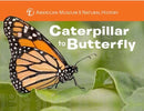 Caterpillar to Butterfly-9781454914068