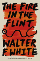 The Fire in the Flint-9781454957447