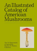 An Illustrated Catalog of American Mushrooms-9781454963554