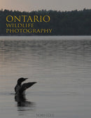 Ontario Wildlife Photography-9781459749504