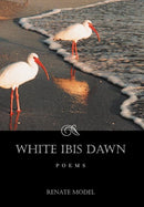 White Ibis Dawn-9781467064620