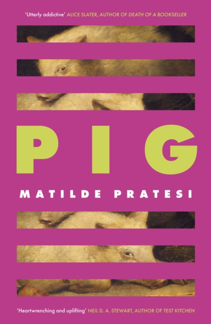 Pig : 'Unsettled me from the start and kept me engrossed to the end' Daily Mail-9781472159106