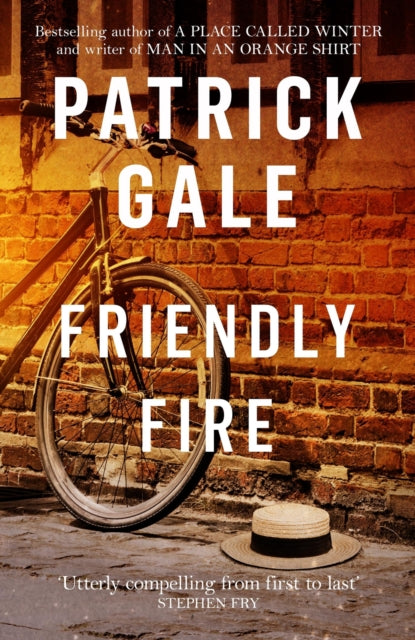 Friendly Fire : A warm, compelling novel of adolescence and young love-9781472255488