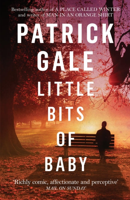 Little Bits of Baby : A quirky, comedic novel of breakdown, escape and the possibilities of finding love-9781472255631