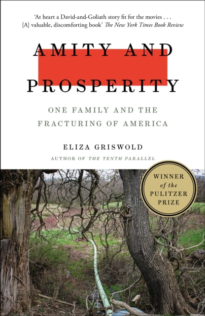 Amity and Prosperity : One Family and the Fracturing of America - Winner of the Pulitzer Prize for Non-Fiction 2019-9781472268723