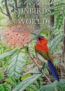 Sunbirds of the World : Sunbirds, Flowerpeckers, Spiderhunters and Sugarbirds, Second Edition-9781472937438