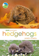 RSPB Spotlight Hedgehogs-9781472950086