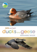 RSPB Spotlight Ducks and Geese-9781472971647