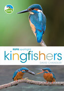 RSPB Spotlight Kingfishers-9781472987617