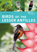 Birds of the Lesser Antilles-9781472989611