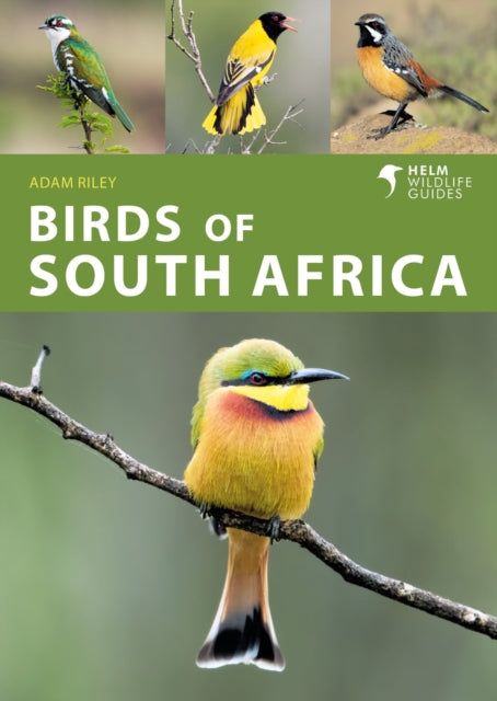 Birds of South Africa-9781472990808