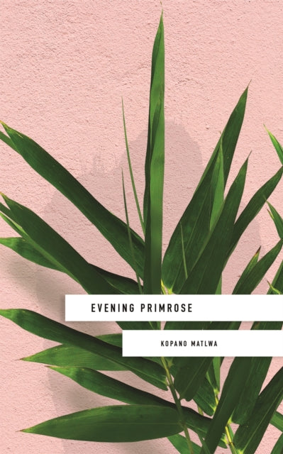 Evening Primrose: a heart-wrenching novel for our times-9781473662285