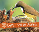 Let's Look at Spring-9781474756648