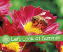 Let's Look at Summer-9781474756655