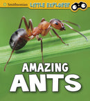 Amazing Ants-9781474770620