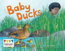 Baby Ducks-9781474772204