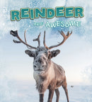 Reindeer Are Awesome-9781474786423