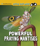 Powerful Praying Mantises-9781474794756