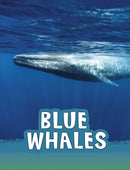 Blue Whales-9781474796187