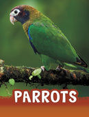 Parrots-9781474796217