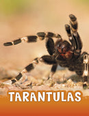 Tarantulas-9781474796224