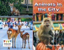Animals in the City-9781474799478