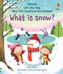 Very First Questions and Answers What is Snow?-9781474940092