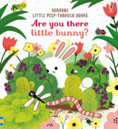 Are you there little Bunny-9781474945547