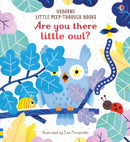 Are you there little Owl?-9781474966863