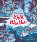 Look Inside Wild Weather-9781474968874