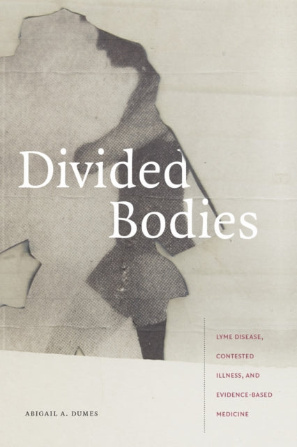 Divided Bodies