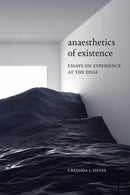 Anaesthetics of Existence : Essays on Experience at the Edge-9781478008262