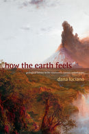 How the Earth Feels : Geological Fantasy in the Nineteenth-Century United States-9781478025702