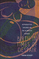 Birth in Times of Despair : Reproductive Violence on the US-Mexico Border-9781479832071
