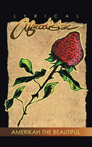 Lyrical Afrodisiac : Erotic Poems & Vignettes-9781481754545