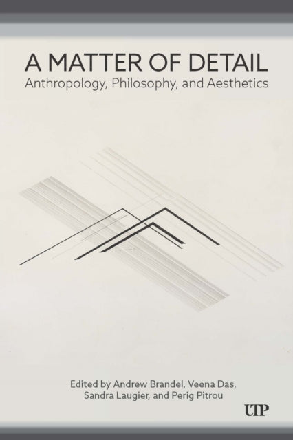 A Matter of Detail : Anthropology, Philosophy, and Aesthetics-9781487550646
