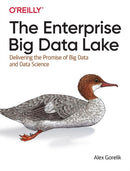 The Enterprise Big Data Lake : Delivering the Promise of Big Data and Data Science-9781491931554
