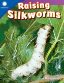 Raising Silkworms-9781493866489