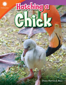 Hatching a Chick-9781493866618
