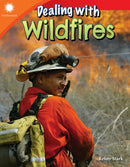 Dealing with Wildfires-9781493866731