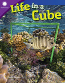Life in a Cube-9781493867073