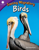 Saving Migratory Birds-9781493867080