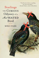 Starlings : The Curious Odyssey of a Most Hated Bird-9781496242020