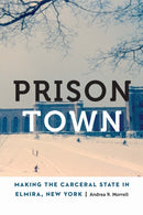 Prison Town : Making the Carceral State in Elmira, New York-9781496243119