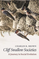 Cliff Swallow Societies